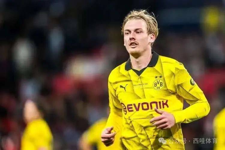 爱游戏中心-多特蒙德集锦  第2张