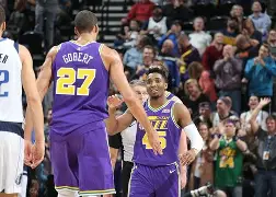 爱游戏-黄蜂恢复正常状态，主场大胜独行侠的简单介绍  第1张